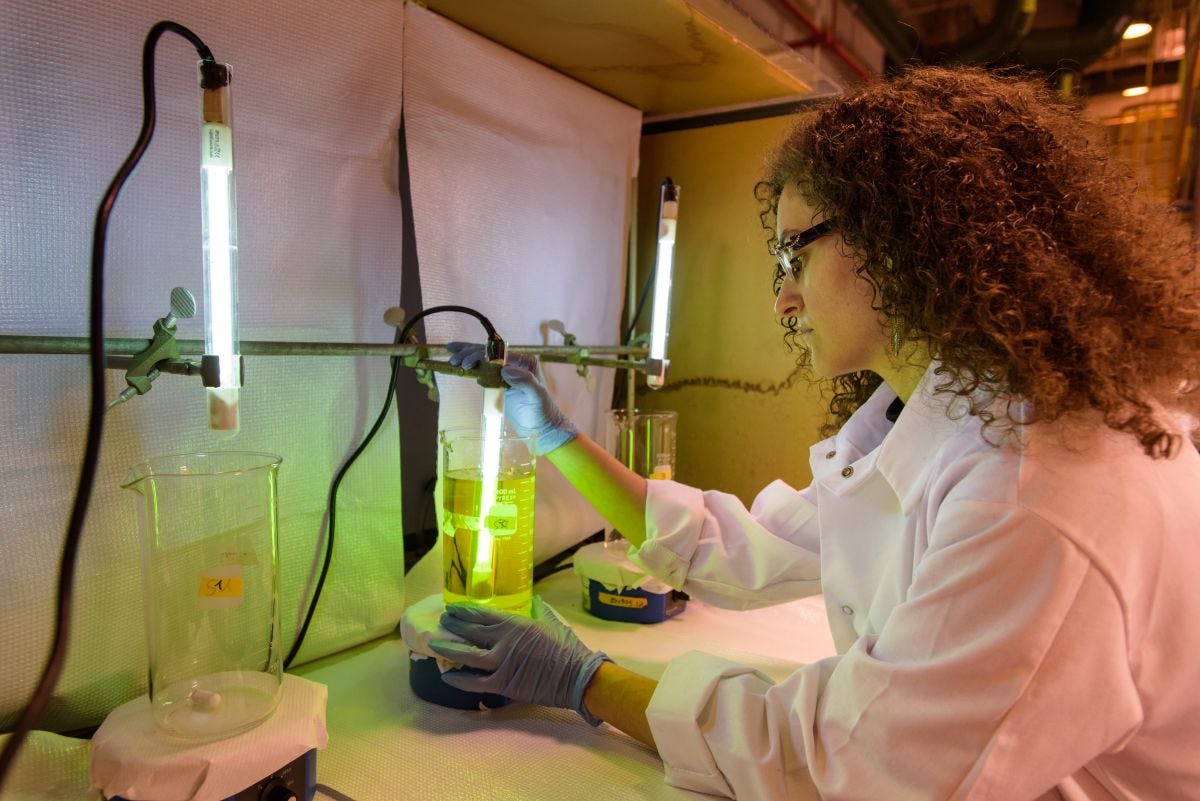 A female student works in a lab with a green substance in a vessel.