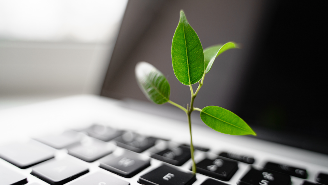 a laptop keyboard with a plant growing on it 