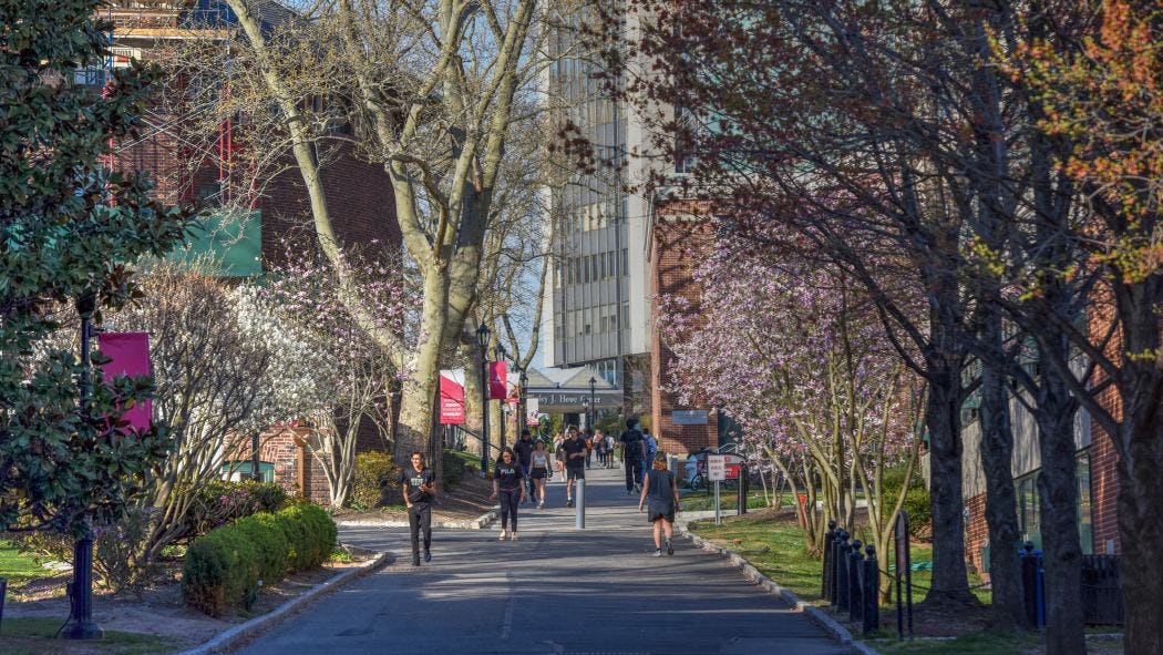 Campus in the spring, looking up Wittpenn walk